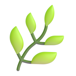 Ayurvedic & Herbal
