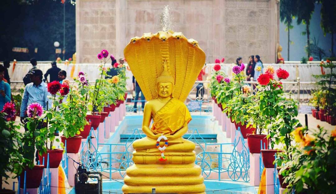Mahadev Tours And Travels