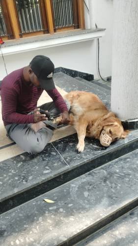 Pet Friendly Grooming Dog & Cat