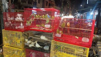 My pets