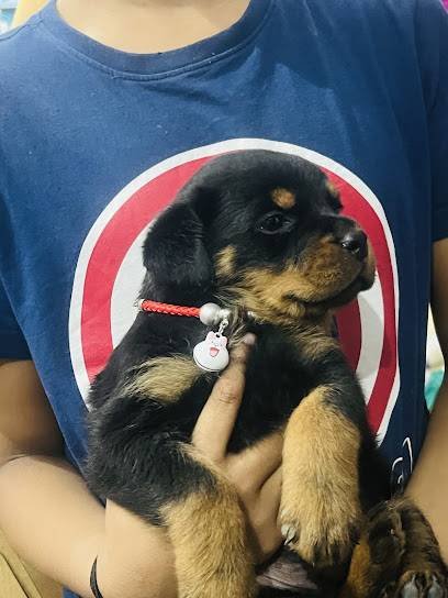 Kennel Pets Adda