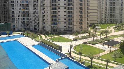 Shree Realty