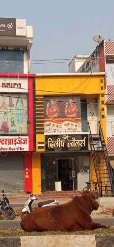 Dileep Jewellers