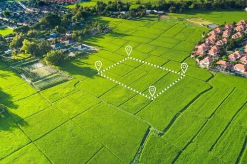 Rajasthan Real Estate