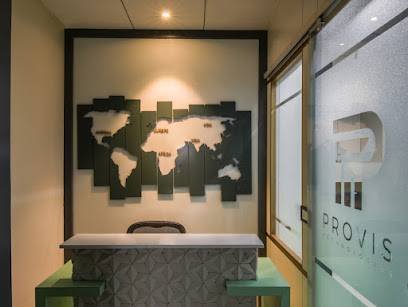 Provis - Expert Services in Website Maintenance, SaaS, and Development