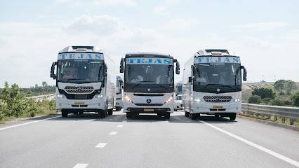 Tejas Tours & Travels