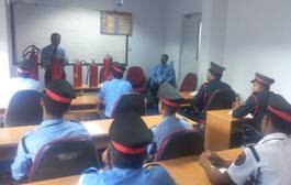 Eagle Detective Agency