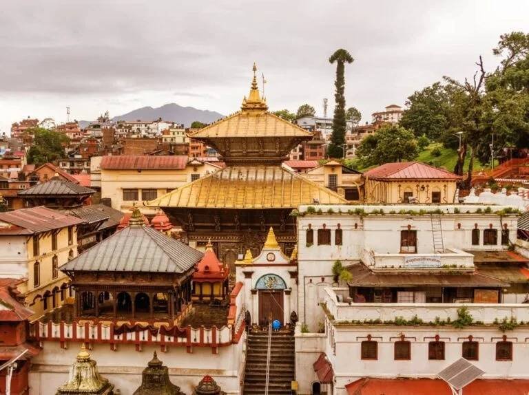 Mishra Tour & Travels