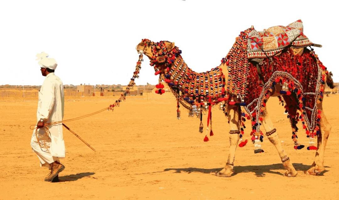 Rajasthan Tours and Travels