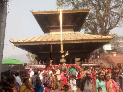 Ganpati Tour And Travels