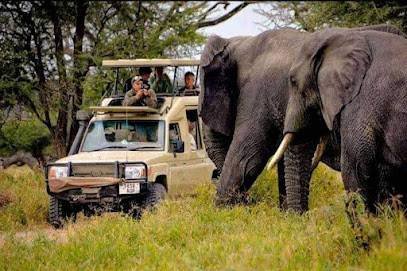 Taj Trip Hub