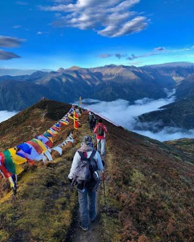 Little Tour & Travels