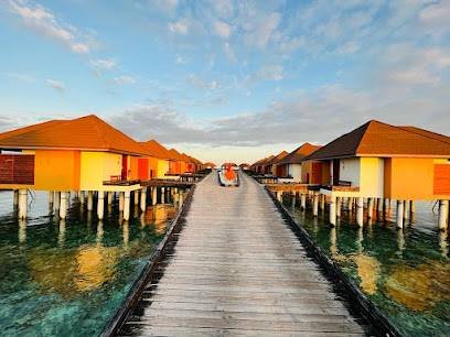 Phoenix Travel and Tourism