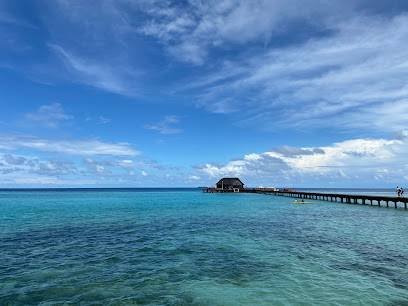 Roam In India Travels