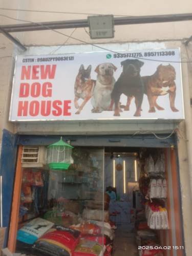 Dog house