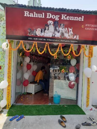 R D Kennel & Pets Shop