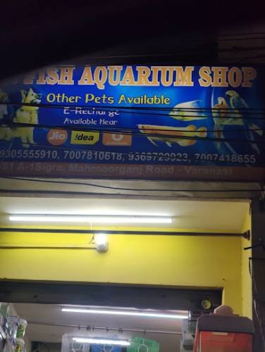 D.N.U Exotic pet Shop