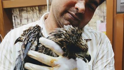 Pet Lovers Care Clinic and Surgical Centre