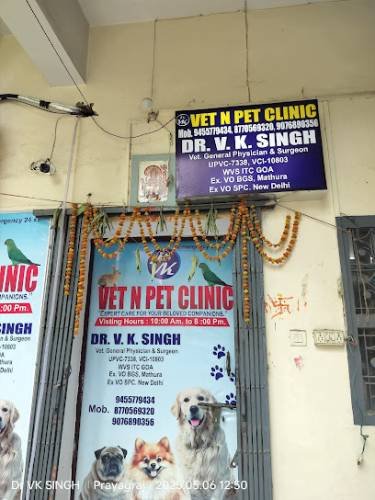 VET N PET CLINIC