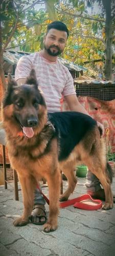 Pujari Pet Point and Dog kennel