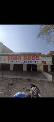 Baba pets shop