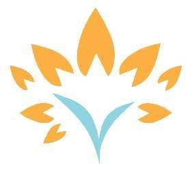 VR Speciality Clinic logo